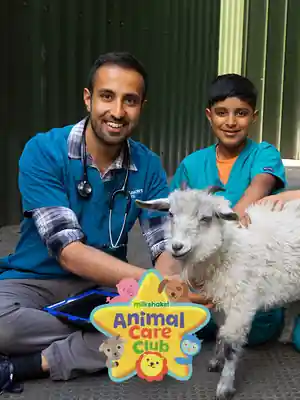 Animal Care Club