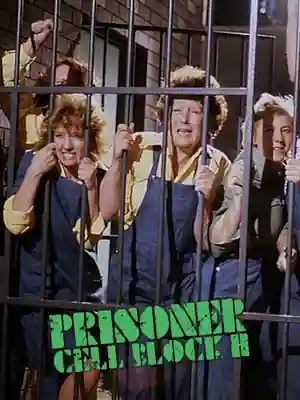 Prisoner: Cell Block H