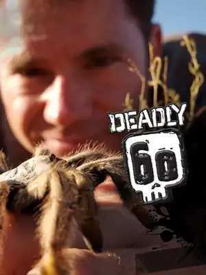 Deadly 60