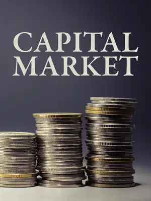Capital Market