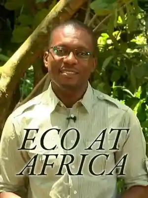 Eco @ Africa