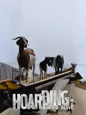 Hoarding: Buried Alive