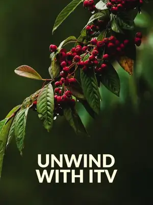 Unwind with ITV