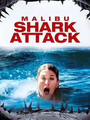 Malibu Shark Attack