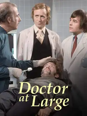 Doctor At Large