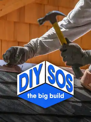 DIY SOS: The Big Build